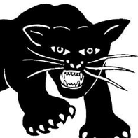 An illustration of a black panther.