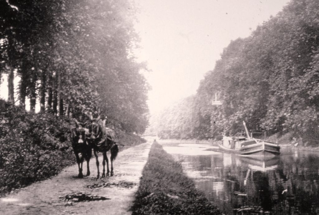 Two mules are walking on the side of the canal and pulling a barge. 