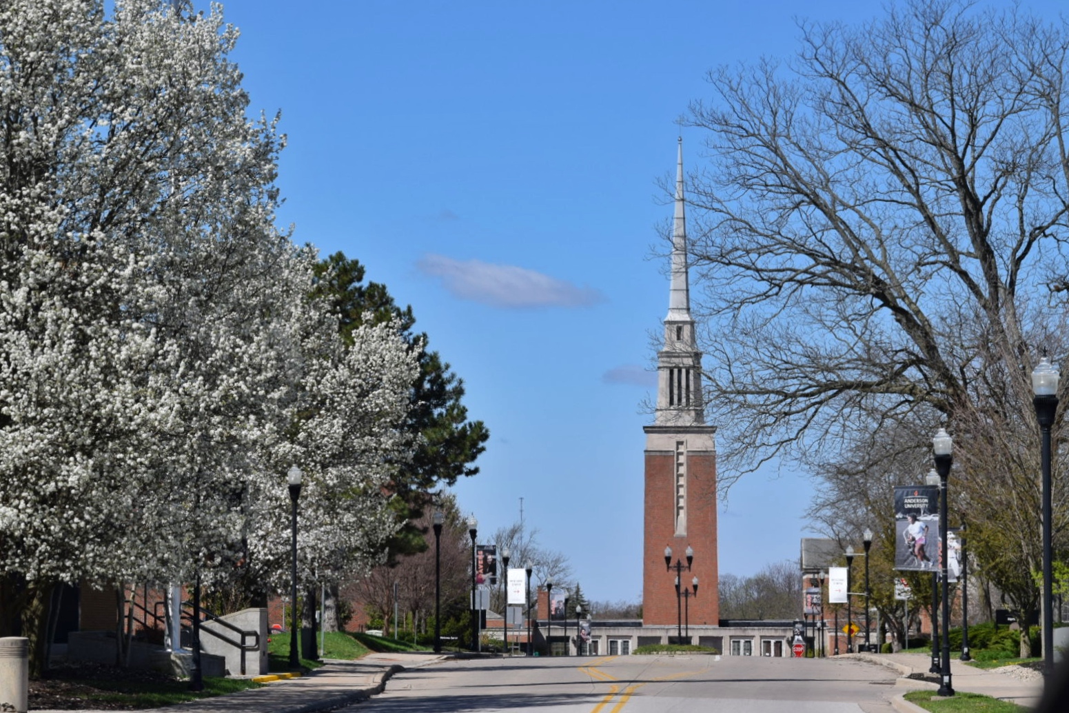 A red brick tower with a white spire sits at the end of a tree-lined street.