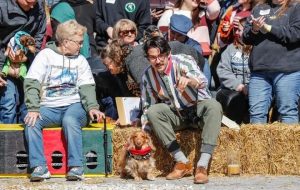 Wiener dogs race during German Fest at the historic Athenaeum building, 2019