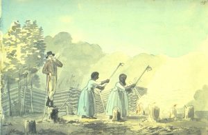 A white overseer supervises two enslaved women working in a tobacco field, 1798
