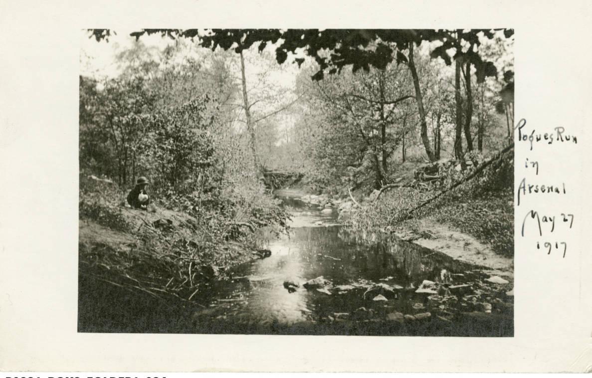 A child kneels down on the bank of a creek.