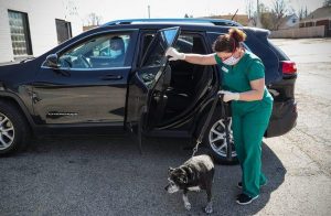 Businesses like Indy Paws Veterinary Hospital began curbside service to limit person-to-person contact amid the coronavirus pandemic, 2020