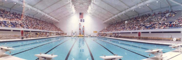 View of a large indoor pool.