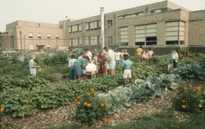 A group of children work in a large garden behind a school building. 