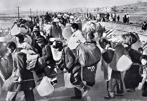 South Korean refugees, 1950