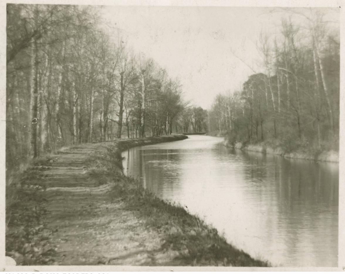 A view showing the banks along a canal. Trees line the side of the bank.