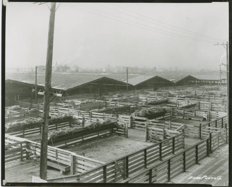 A maze of outdoor animal pens with several centrally placed troughs of hay. 