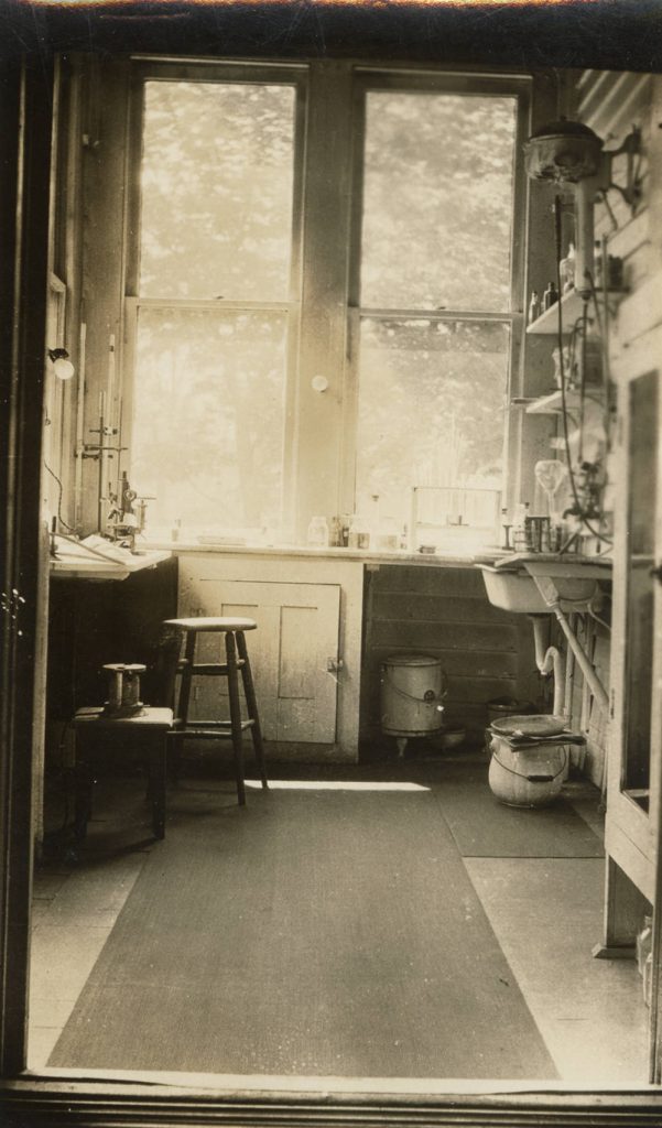 A view looking into a small laboratory. A sink is on one side of the room with shelves above it filled with glass bottle. A small desk is on the other side of the room with a microscope on it. 