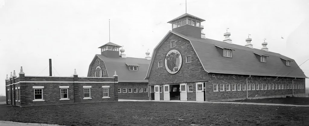 Two large barns with a logo of a cow on the front above the entrance. 