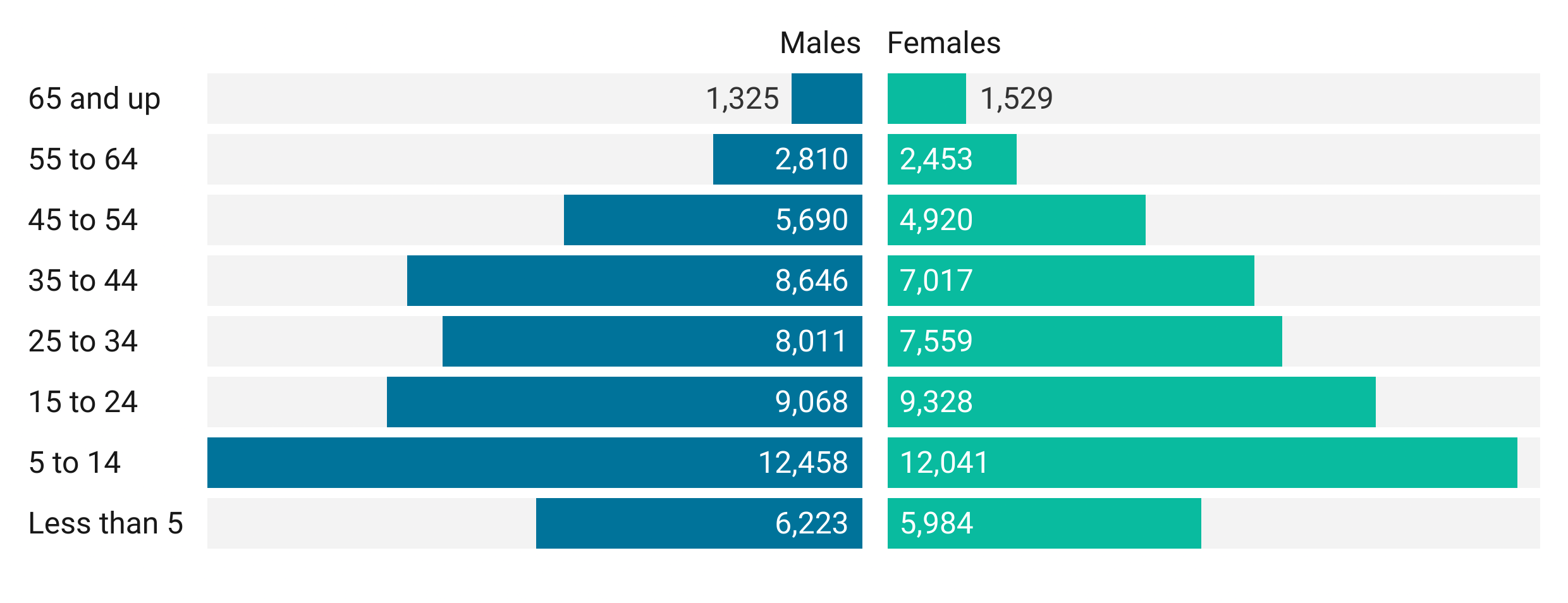 Two bar charts comparing hispanic/latino population of Marion County in 2019 by age and gender. The5 to 14 age group makes up the largest portion. There is a near 50/50 split between males and females in all age groups.