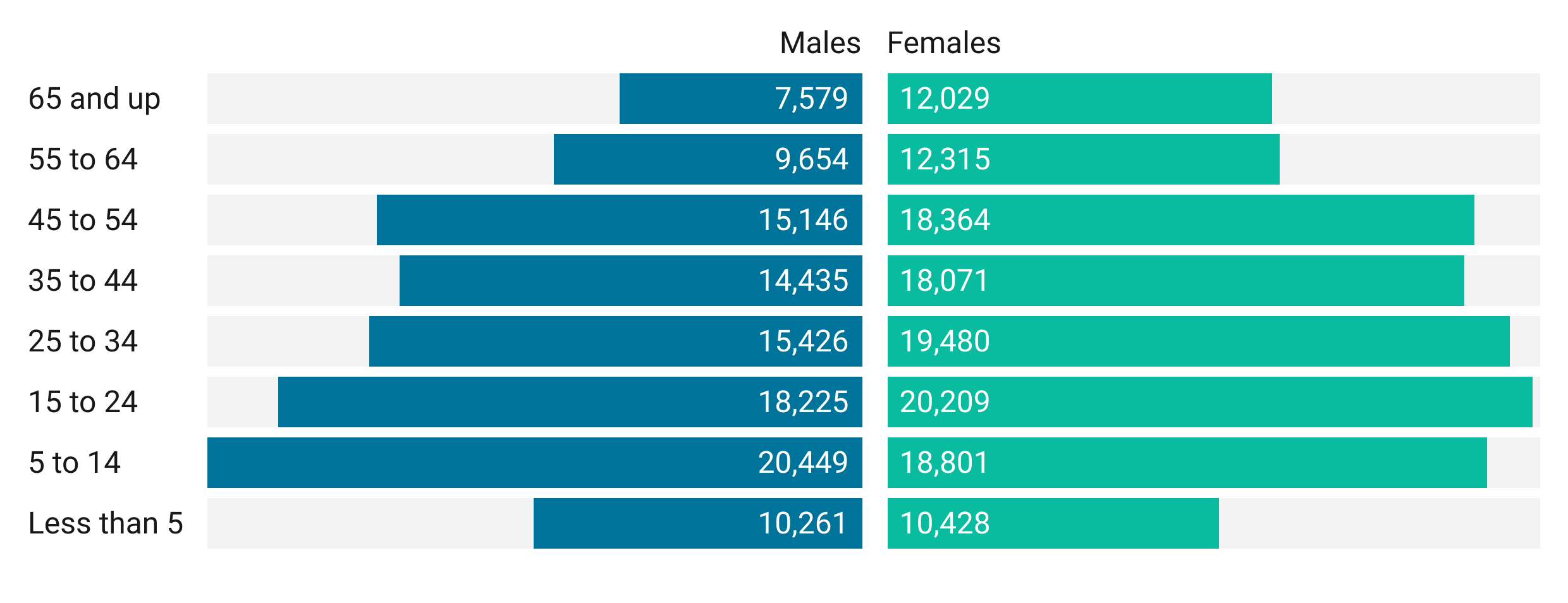 Two bar charts comparing Black population of Marion County in 2019 by age and gender. The 5 to 14 and 15 to 24 age groups make up the largest portion. Nearly all age groups have more females than males except for the less than 5 and 5 to 14 age groups.